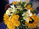 Mothers Day